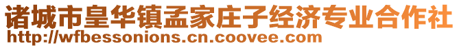 諸城市皇華鎮(zhèn)孟家莊子經(jīng)濟(jì)專業(yè)合作社