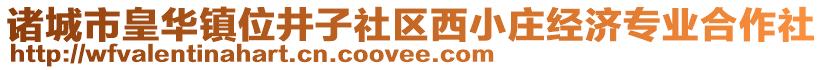 諸城市皇華鎮位井子社區西小莊經濟專業合作社