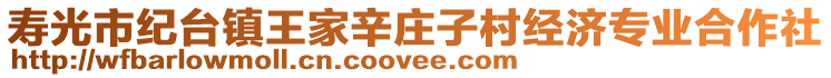 壽光市紀臺鎮王家辛莊子村經濟專業合作社