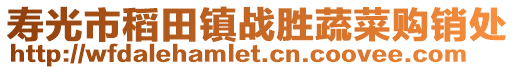 壽光市稻田鎮(zhèn)戰(zhàn)勝蔬菜購(gòu)銷處