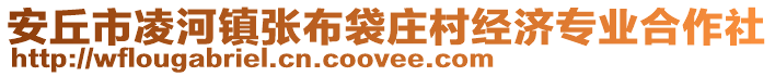安丘市凌河鎮張布袋莊村經濟專業合作社