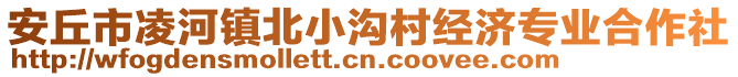 安丘市凌河鎮(zhèn)北小溝村經(jīng)濟專業(yè)合作社