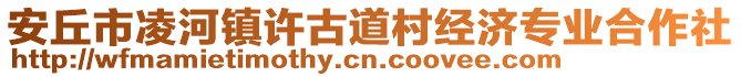 安丘市凌河鎮許古道村經濟專業合作社