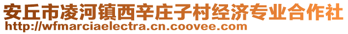 安丘市凌河鎮(zhèn)西辛莊子村經(jīng)濟專業(yè)合作社