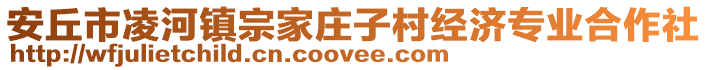 安丘市凌河鎮(zhèn)宗家莊子村經(jīng)濟專業(yè)合作社
