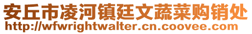 安丘市凌河鎮廷文蔬菜購銷處