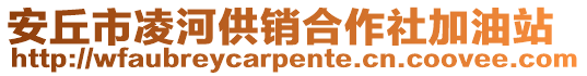 安丘市凌河供銷合作社加油站