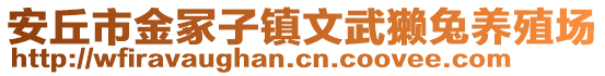 安丘市金冢子鎮(zhèn)文武獺兔養(yǎng)殖場(chǎng)