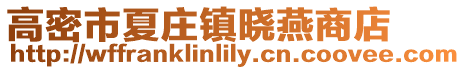 高密市夏莊鎮曉燕商店