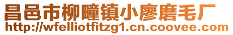 昌邑市柳疃鎮小廖磨毛廠
