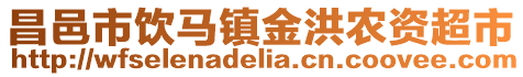 昌邑市飲馬鎮金洪農資超市