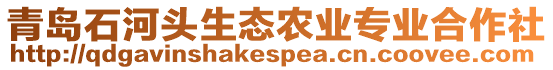 青島石河頭生態(tài)農(nóng)業(yè)專業(yè)合作社