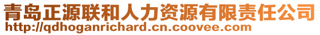 青島正源聯(lián)和人力資源有限責(zé)任公司