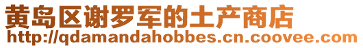 黃島區謝羅軍的土產商店