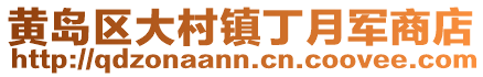 黃島區大村鎮丁月軍商店