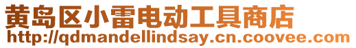 黃島區小雷電動工具商店