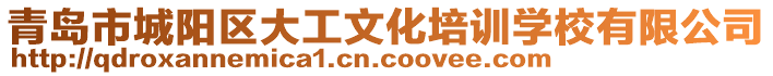 青島市城陽區大工文化培訓學校有限公司