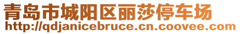 青島市城陽區(qū)麗莎停車場