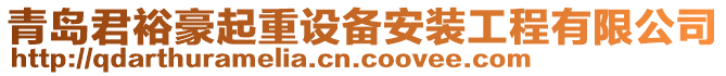 青島君裕豪起重設(shè)備安裝工程有限公司