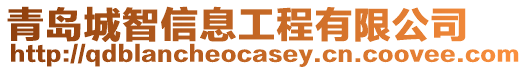 青島城智信息工程有限公司