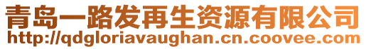 青島一路發(fā)再生資源有限公司