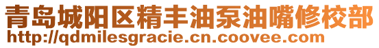 青島城陽(yáng)區(qū)精豐油泵油嘴修校部