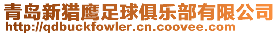 青島新獵鷹足球俱樂部有限公司