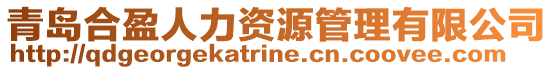 青島合盈人力資源管理有限公司