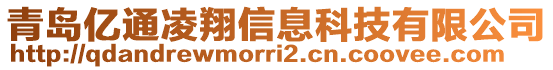 青島億通凌翔信息科技有限公司