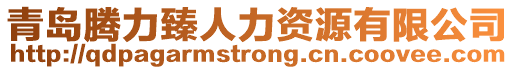 青島騰力臻人力資源有限公司