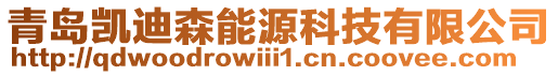 青島凱迪森能源科技有限公司