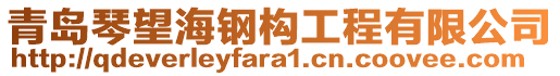 青島琴望海鋼構(gòu)工程有限公司