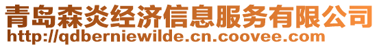青島森炎經濟信息服務有限公司