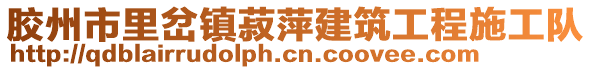 膠州市里岔鎮(zhèn)菽萍建筑工程施工隊(duì)