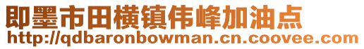 即墨市田橫鎮偉峰加油點