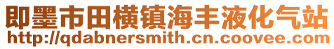 即墨市田橫鎮(zhèn)海豐液化氣站