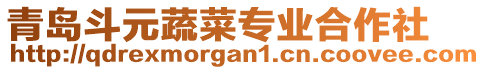 青島斗元蔬菜專業(yè)合作社