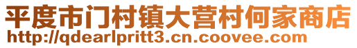 平度市門村鎮(zhèn)大營村何家商店