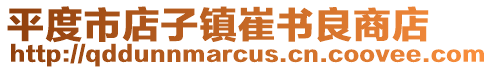 平度市店子鎮崔書良商店