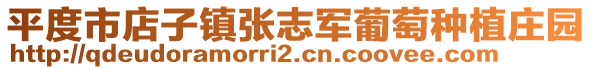 平度市店子鎮(zhèn)張志軍葡萄種植莊園