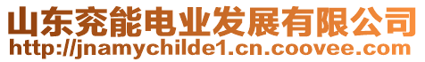 山東兗能電業(yè)發(fā)展有限公司
