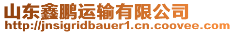 山東鑫鵬運(yùn)輸有限公司