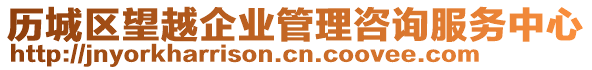 歷城區(qū)望越企業(yè)管理咨詢服務(wù)中心