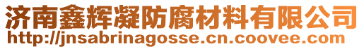 濟南鑫輝凝防腐材料有限公司