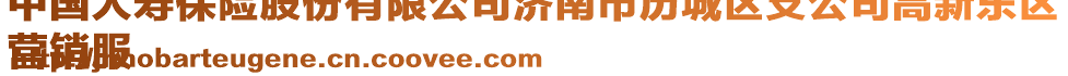 中國人壽保險股份有限公司濟(jì)南市歷城區(qū)支公司高新東區(qū)
營銷服