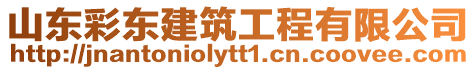 山東彩東建筑工程有限公司