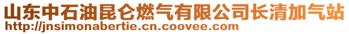 山東中石油昆侖燃氣有限公司長清加氣站