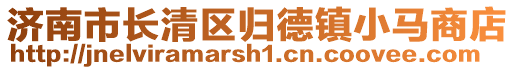 濟南市長清區歸德鎮小馬商店