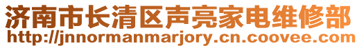 濟南市長清區聲亮家電維修部