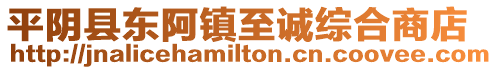 平陰縣東阿鎮(zhèn)至誠綜合商店